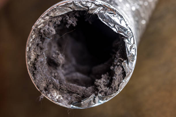 Best Commercial Air Duct Cleaning  in Marion, MT