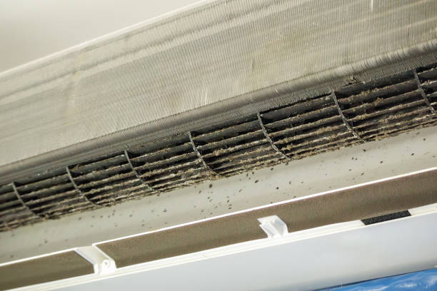 Best Air Duct Cleaning Near Me  in Marion, MT